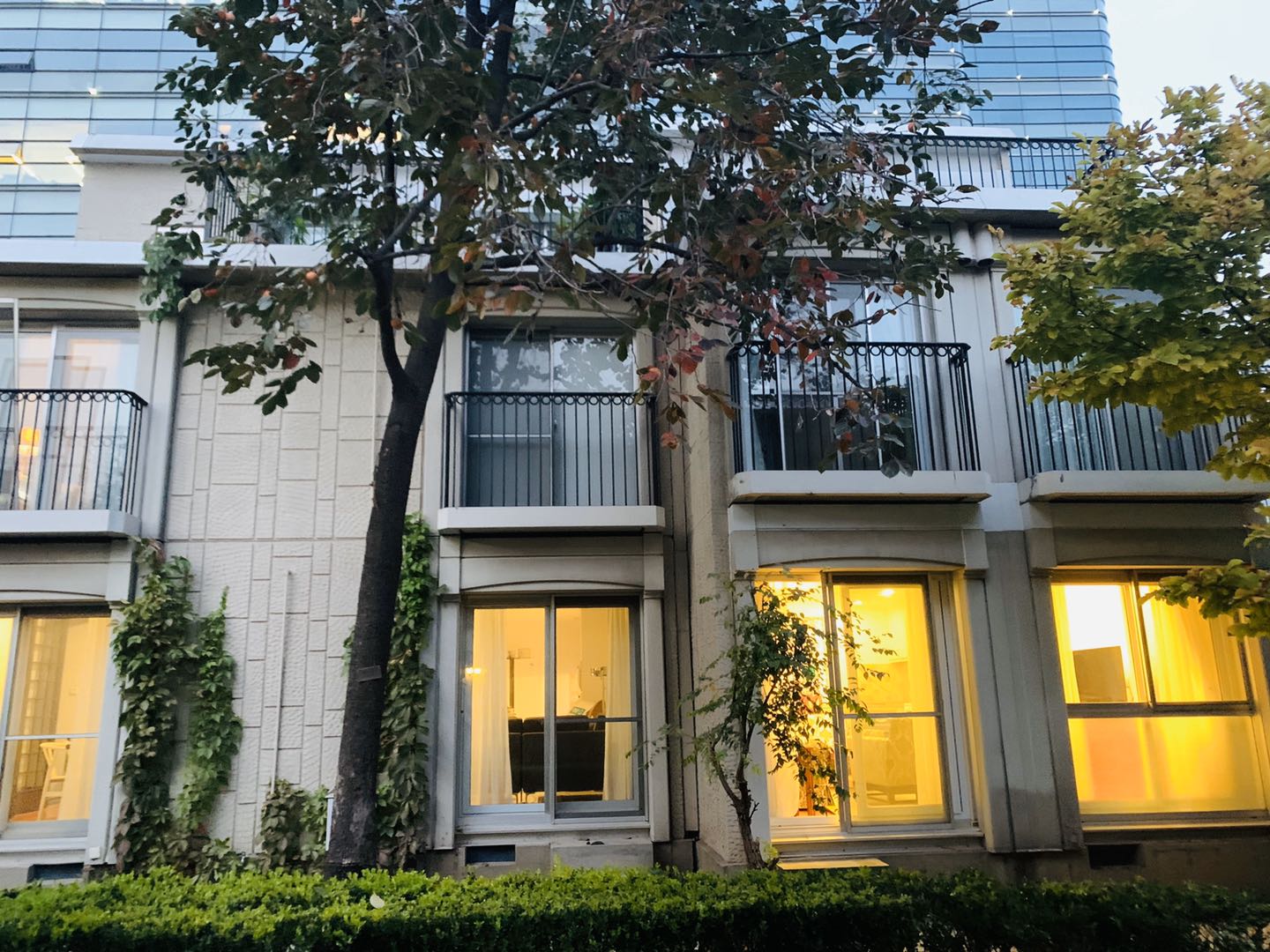 光明别墅    250平米独栋